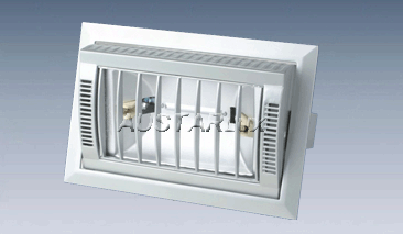 Special Design for Ceiling Light Fixtures - DL1018 – Austar